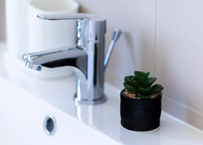 Oliver 凯达库塔尼